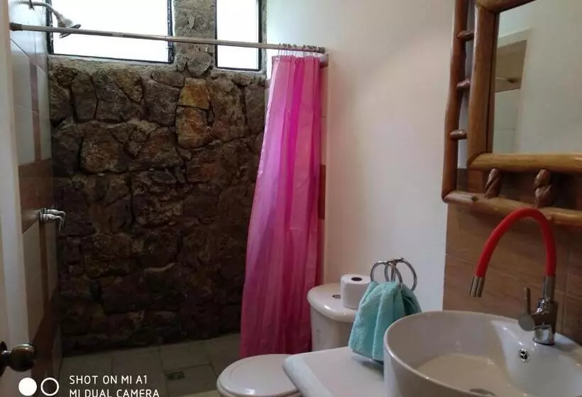 هاستل Paraíso San José