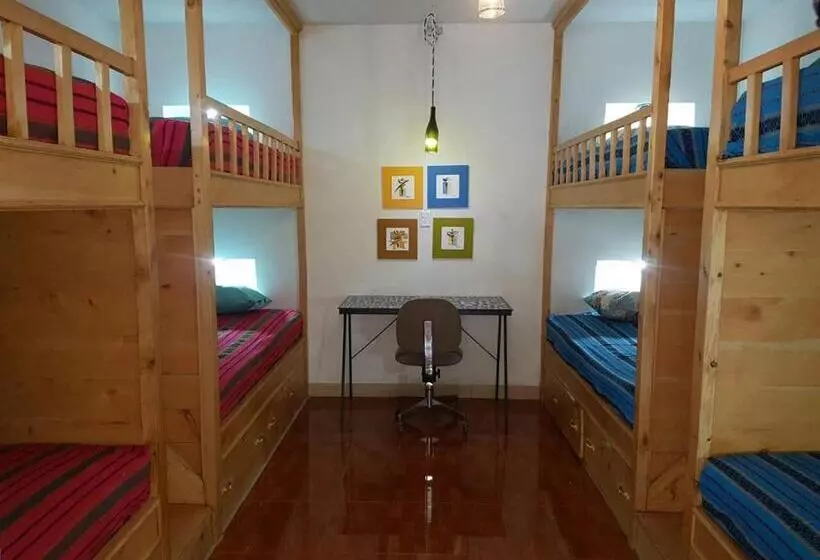 هاستل Paraíso San José