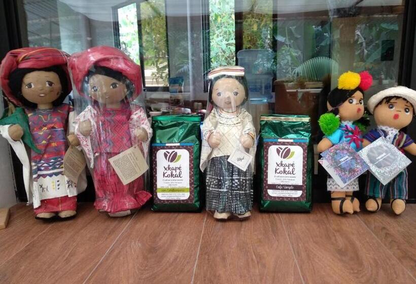 هاستل Paraíso San José