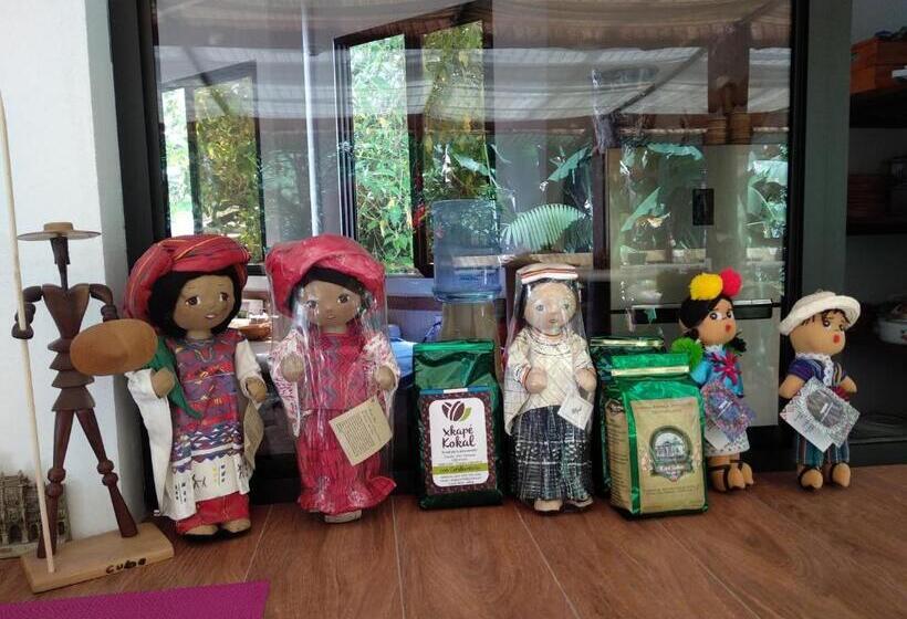 هاستل Paraíso San José