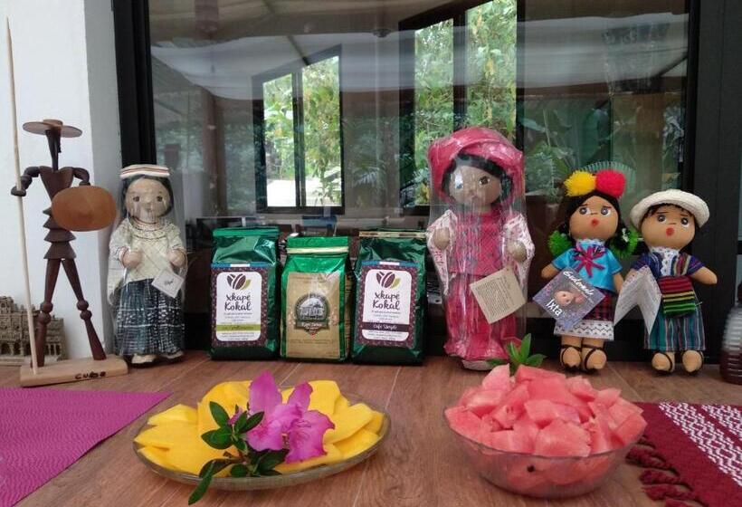 هاستل Paraíso San José