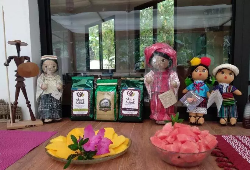 هاستل Paraíso San José