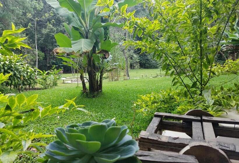 هاستل Paraíso San José