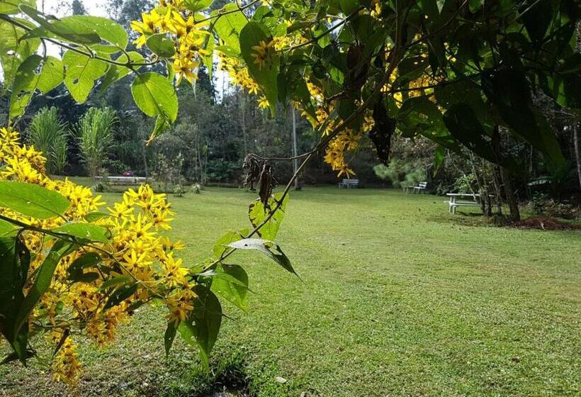 هاستل Paraíso San José