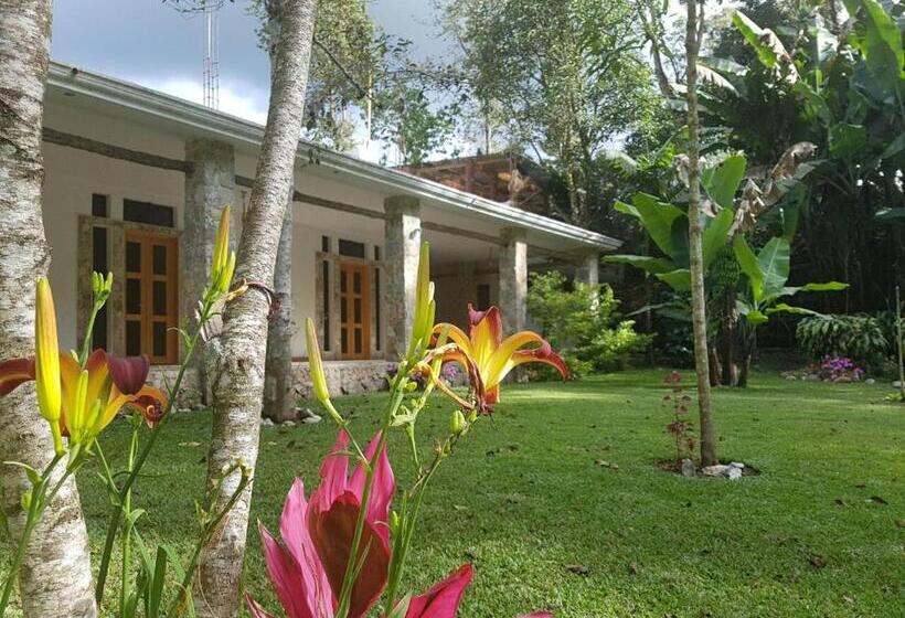 هاستل Paraíso San José