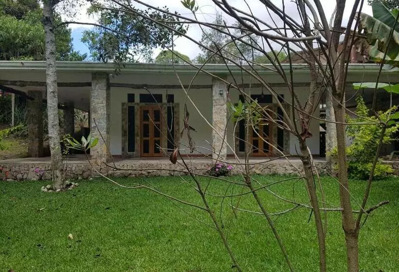 هاستل Paraíso San José