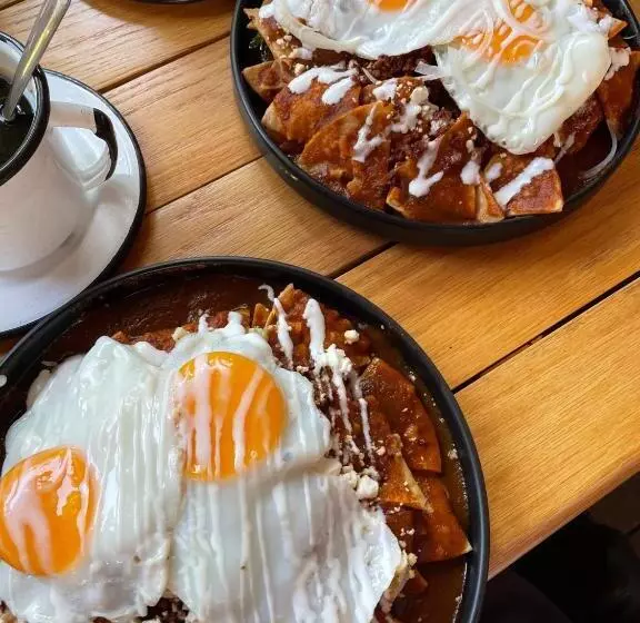 Colonte Hotel Origen