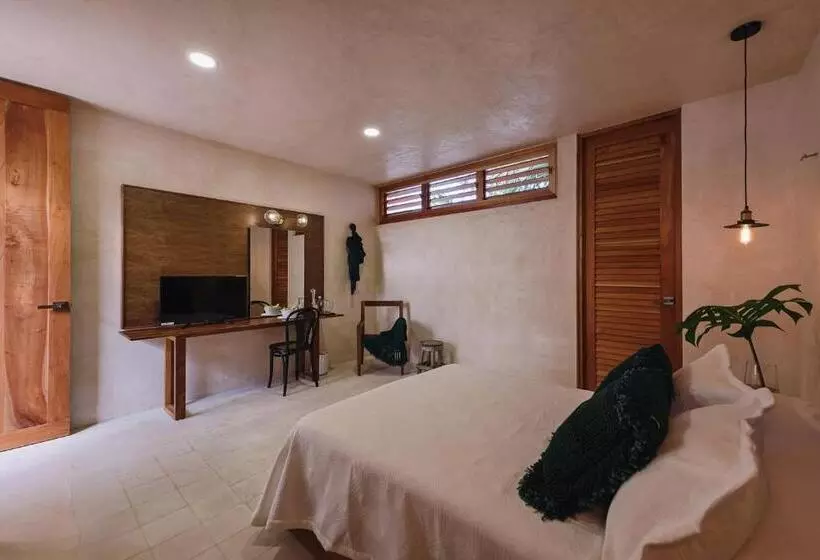 Colonte Hotel Origen