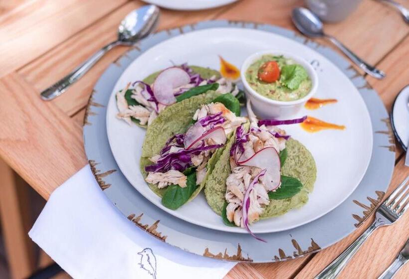 Colonte Hotel Origen