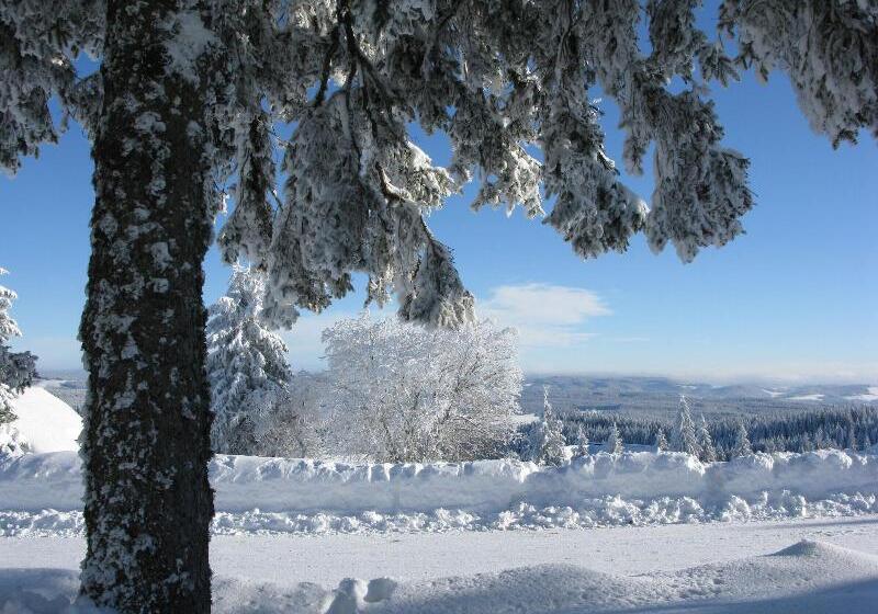 Elzland Hotel Pfauen Wellness & Spa