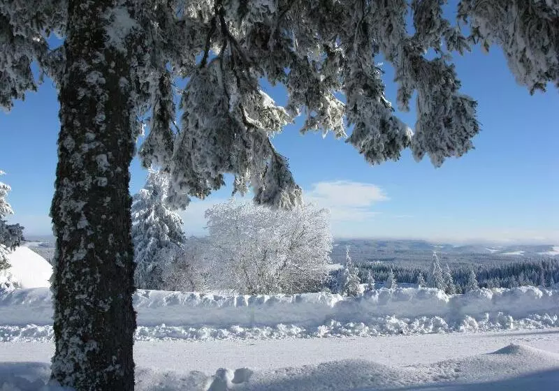 Elzland Hotel Pfauen Wellness & Spa