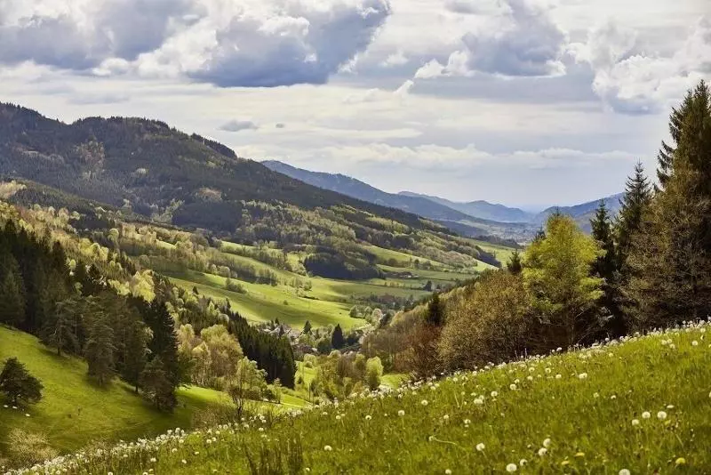 Elzland Hotel Pfauen Wellness & Spa