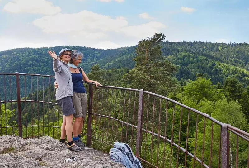 Elzland Hotel Pfauen Wellness & Spa