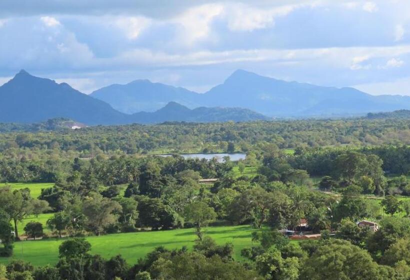 Hotel Into The Wild Sigiriya