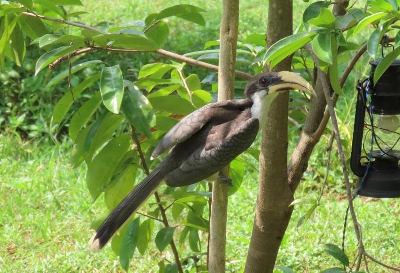 Hotel Into The Wild Sigiriya