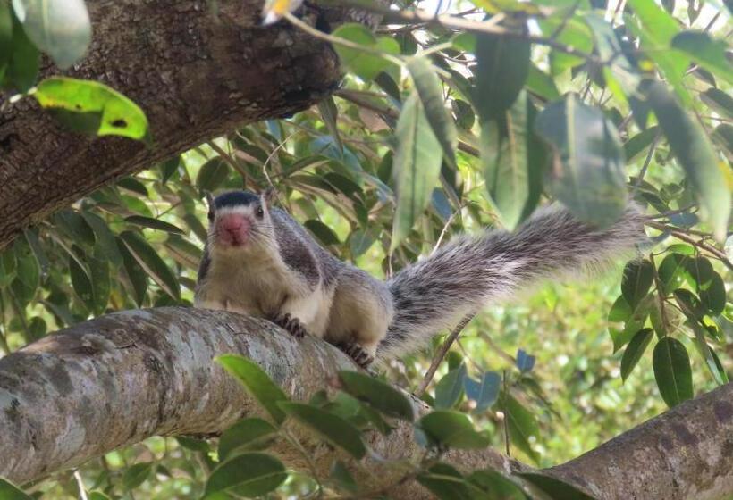 Hotel Into The Wild Sigiriya