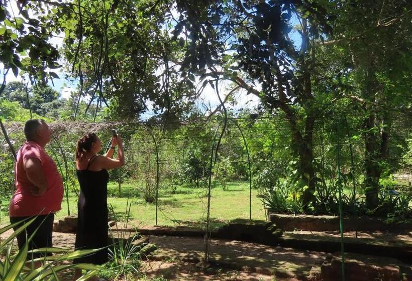 Hotel Into The Wild Sigiriya