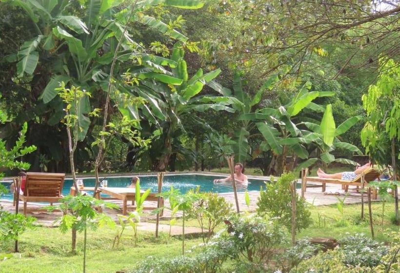 Hotel Into The Wild Sigiriya