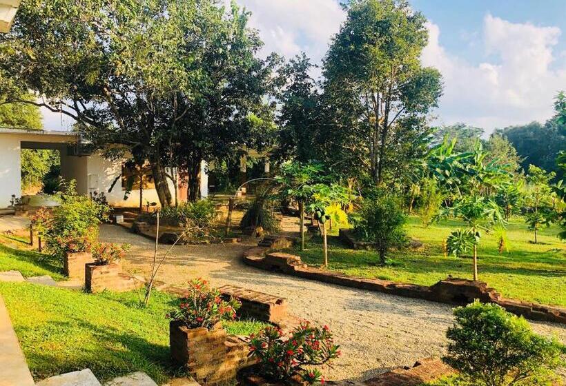 Hotel Into The Wild Sigiriya