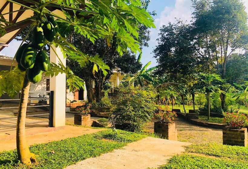 Hotel Into The Wild Sigiriya