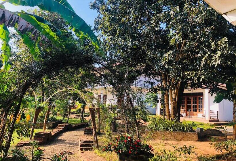 Hotel Into The Wild Sigiriya