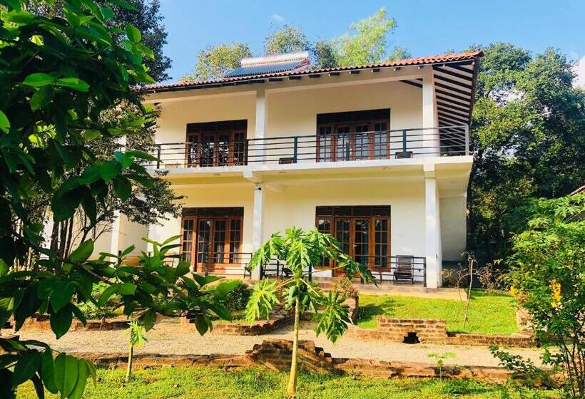 Hotel Into The Wild Sigiriya