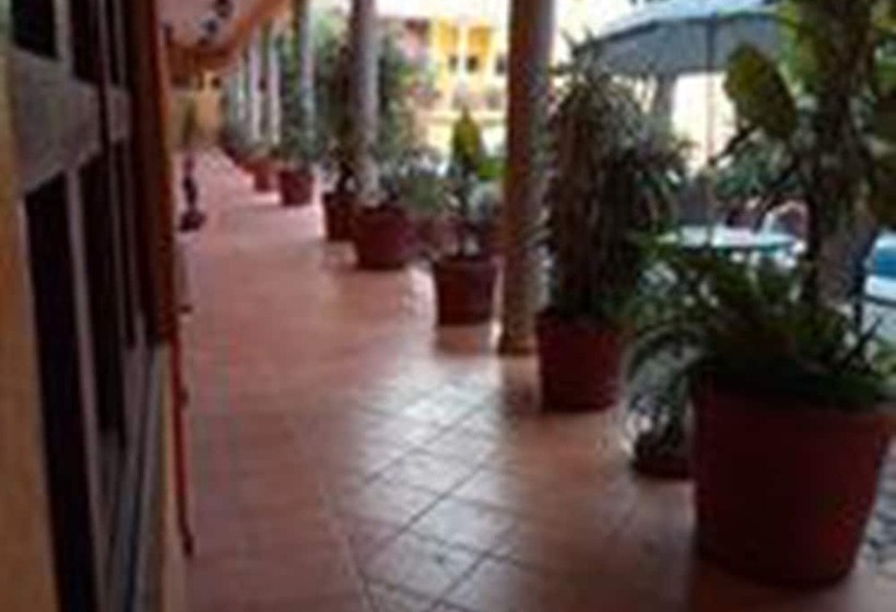 فندق Plaza Del Sol