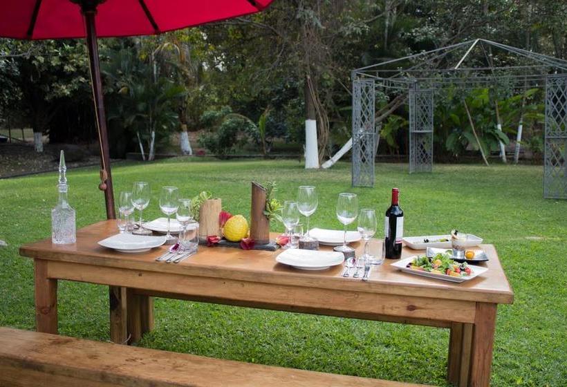 فندق Quinta Moctezuma