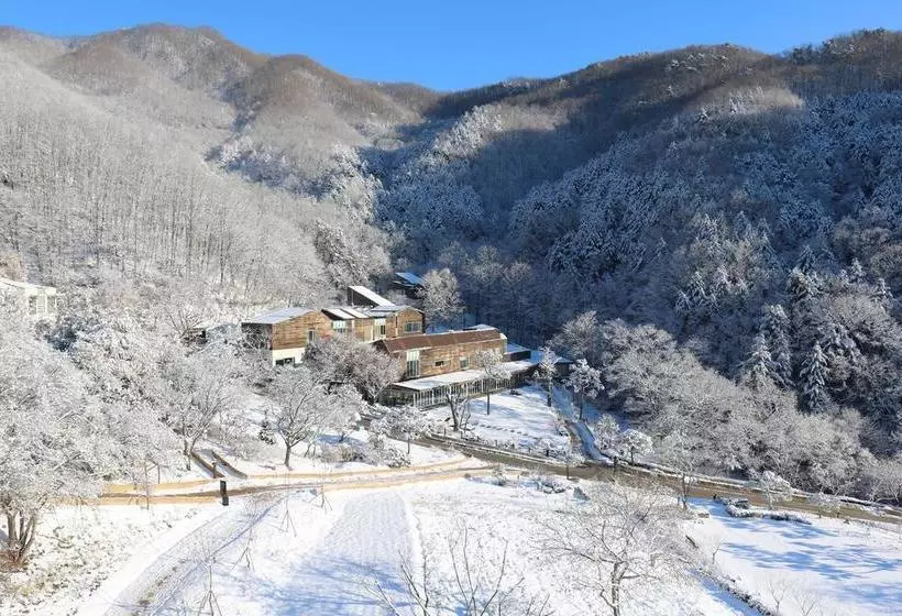 Lomakeskus Healience Village