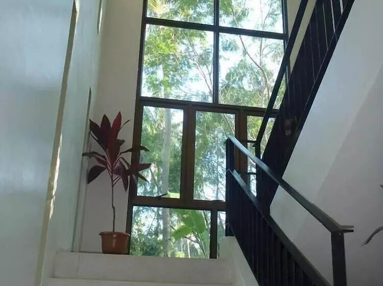 Bed and Breakfast Cview Boutique