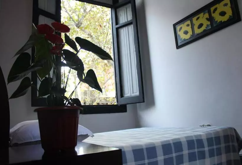 هاستل Casa Mutante