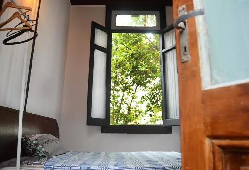 هاستل Casa Mutante