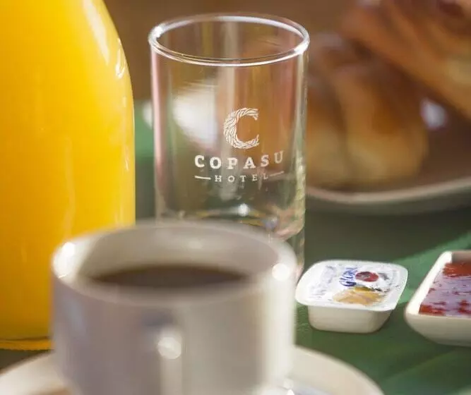 هتل Copasu