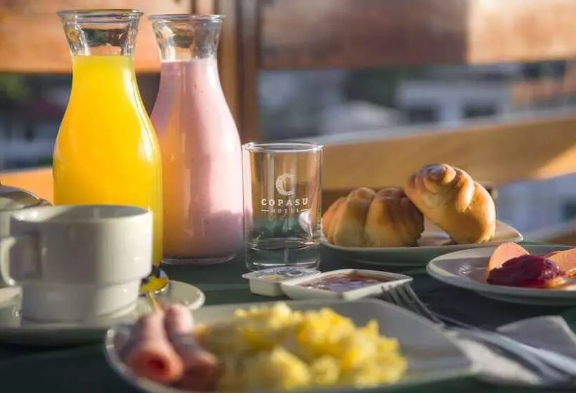 هتل Copasu