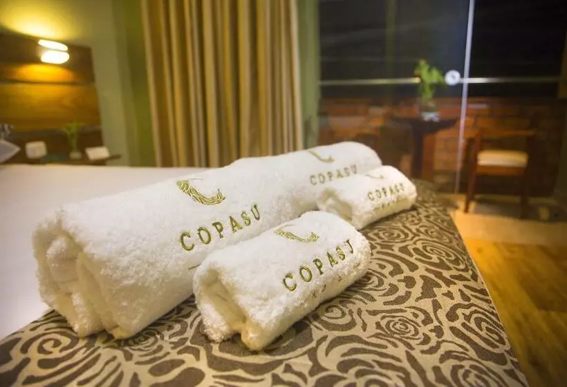 هتل Copasu