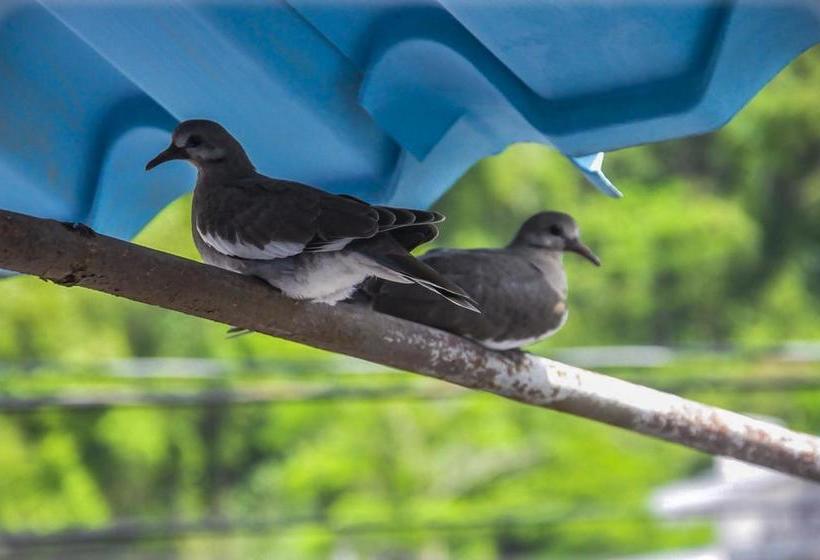 فندق Downtown By The Sea Inn Quepos