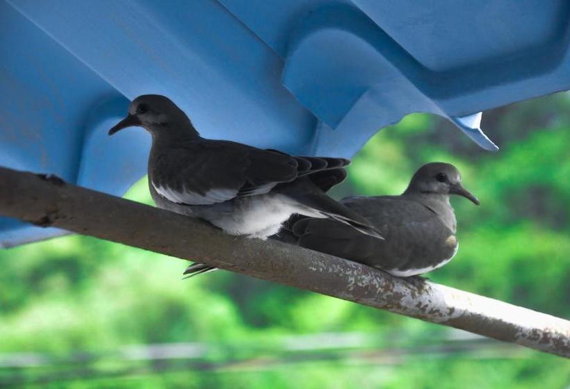 فندق Downtown By The Sea Inn Quepos