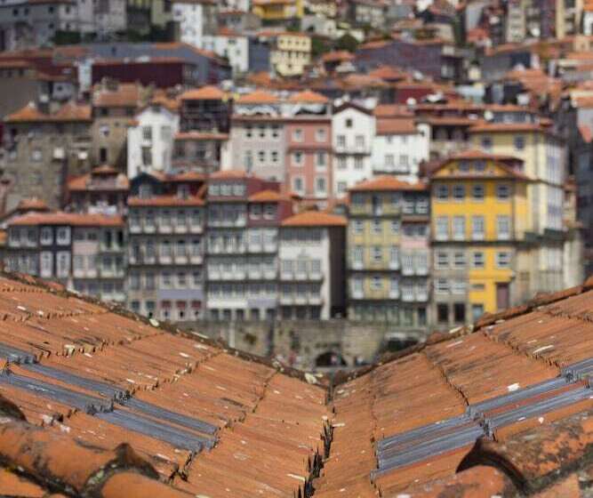 هاستل The House Of Sandeman