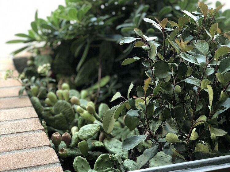 مبيت وإفطار Hayloft