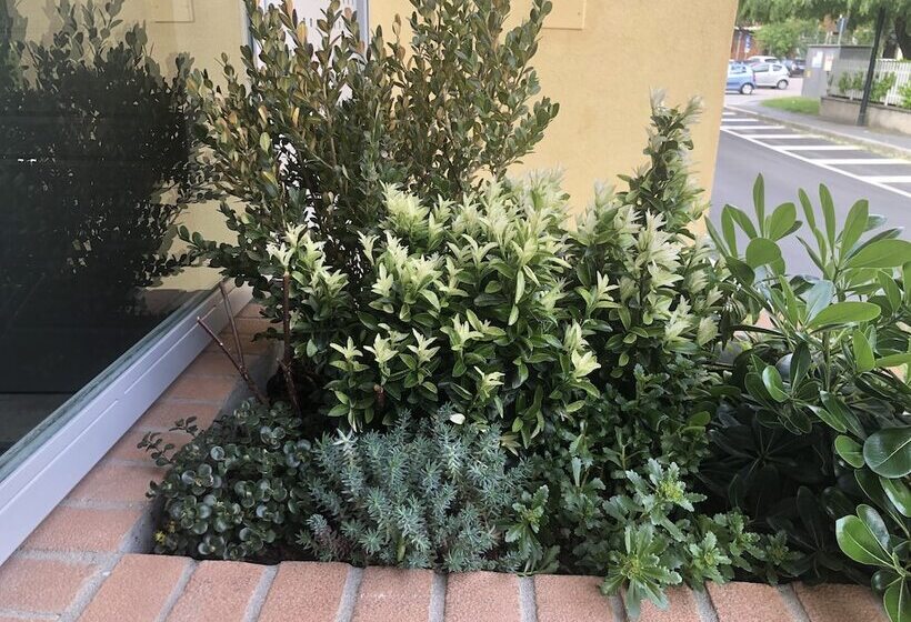 مبيت وإفطار Hayloft