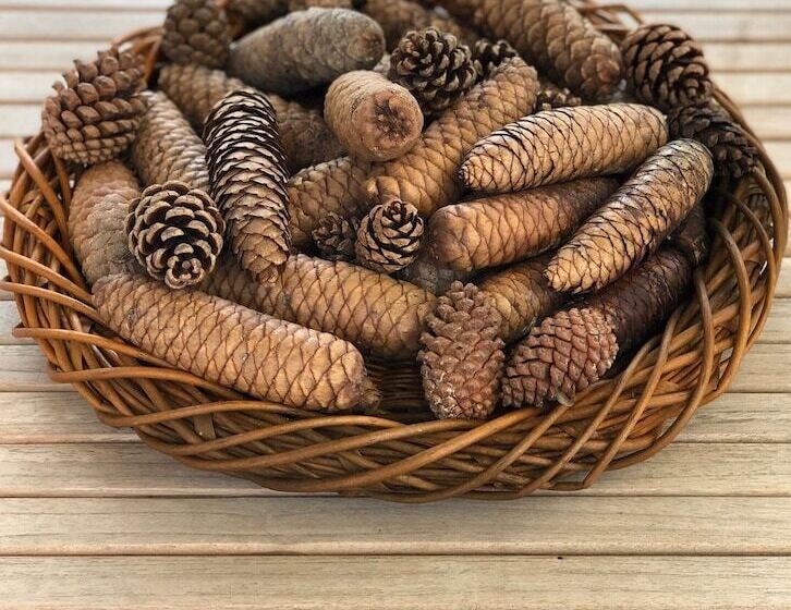 مبيت وإفطار Hayloft