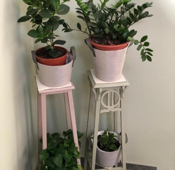 مبيت وإفطار Hayloft