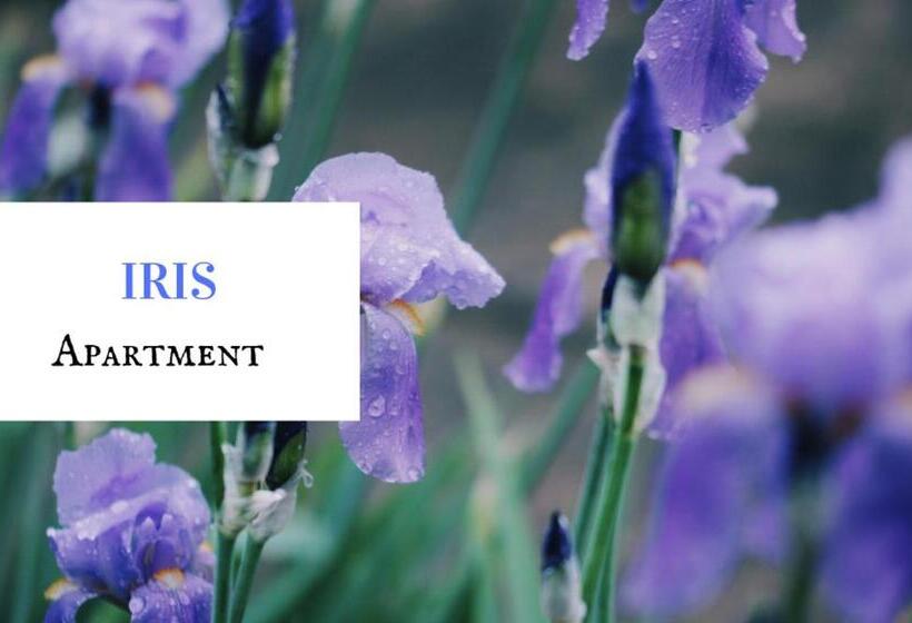 مبيت وإفطار Hayloft