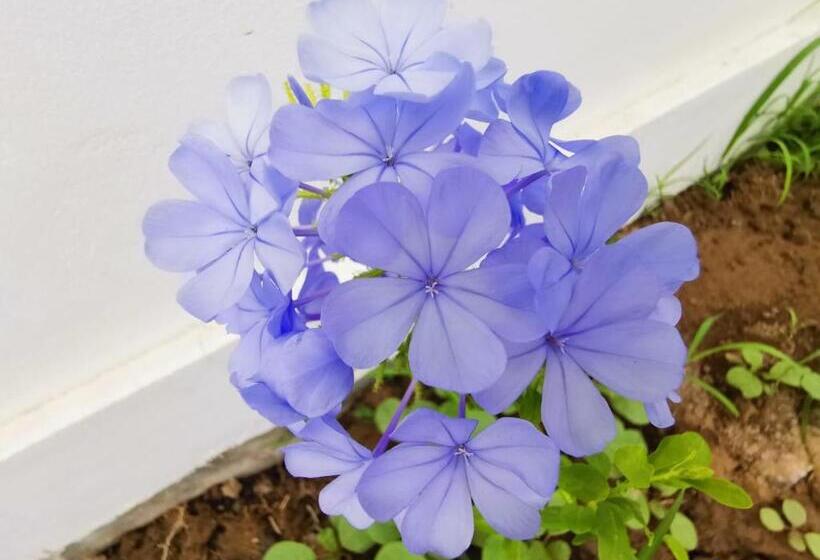 Bella Durmiente Hotel & Eventos