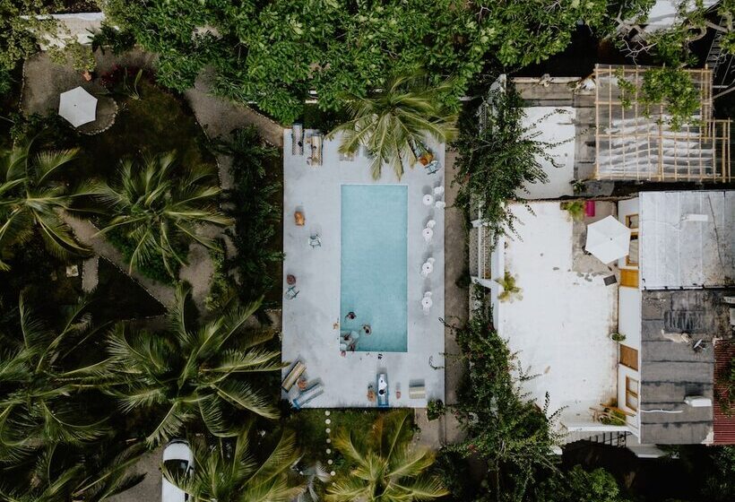 هاستل Casa Del Pavo Real Boutique