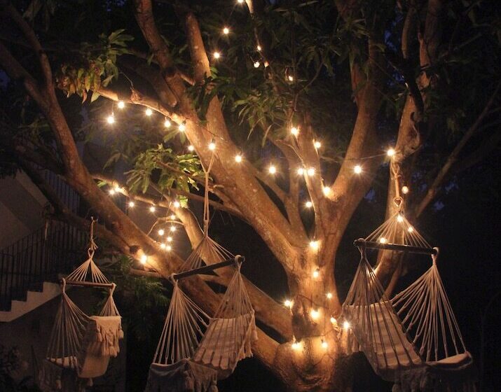 هاستل Casa Del Pavo Real Boutique