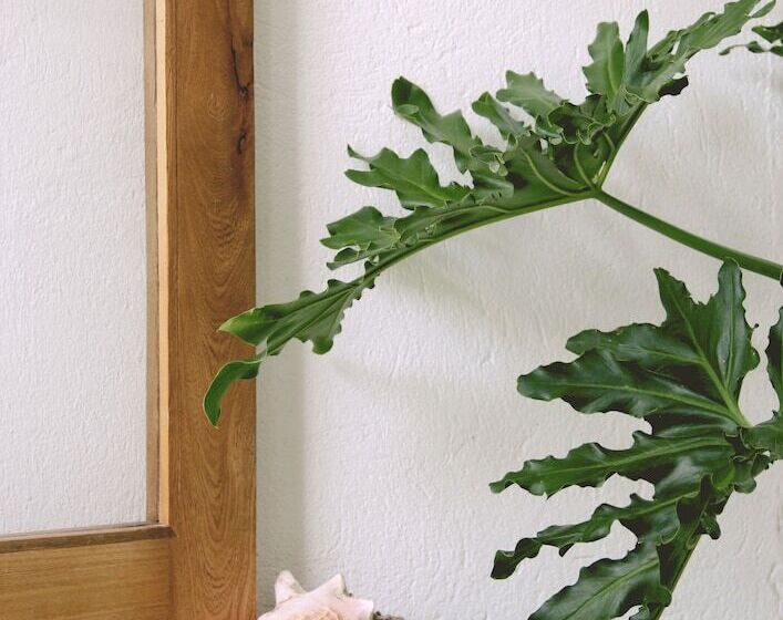 هاستل Casa Del Pavo Real Boutique