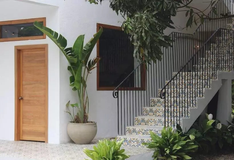 ユースホステル Casa Del Pavo Real Boutique