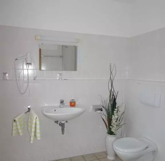 Hotelli & Gasthof Zum Löwen