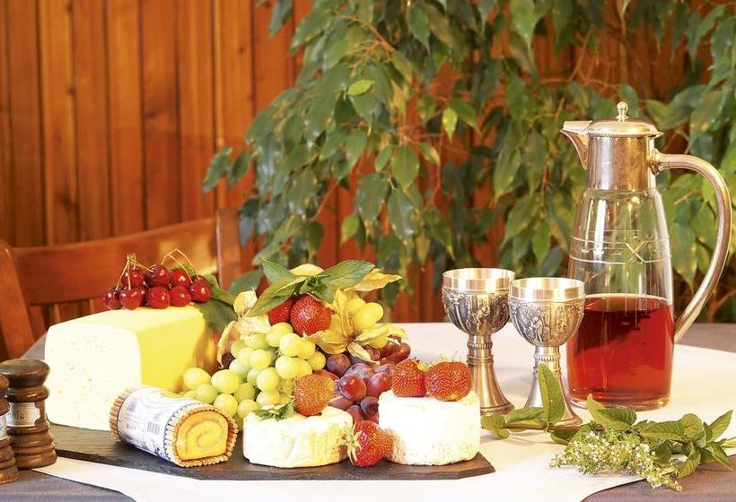 Отель & Gasthof Zum Löwen